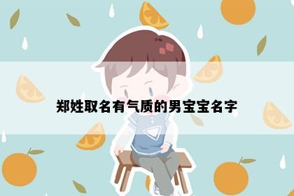 郑姓取名有气质的男宝宝名字