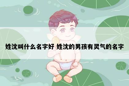 姓沈叫什么名字好 姓沈的男孩有灵气的名字