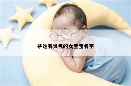 茅姓有灵气的女宝宝名字