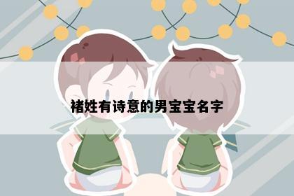 褚姓有诗意的男宝宝名字