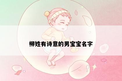 柳姓有诗意的男宝宝名字